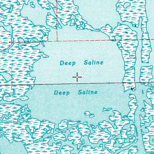 Topographic Map of Deep Saline, LA