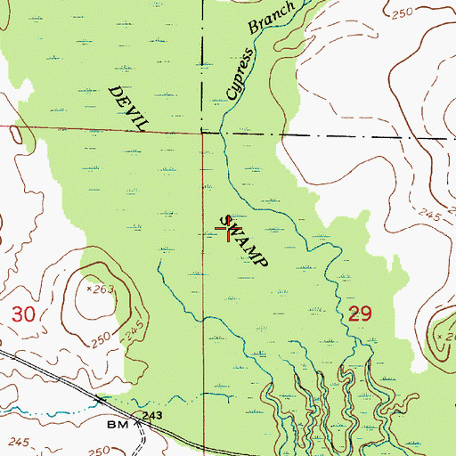 Topographic Map of Devil Swamp, LA