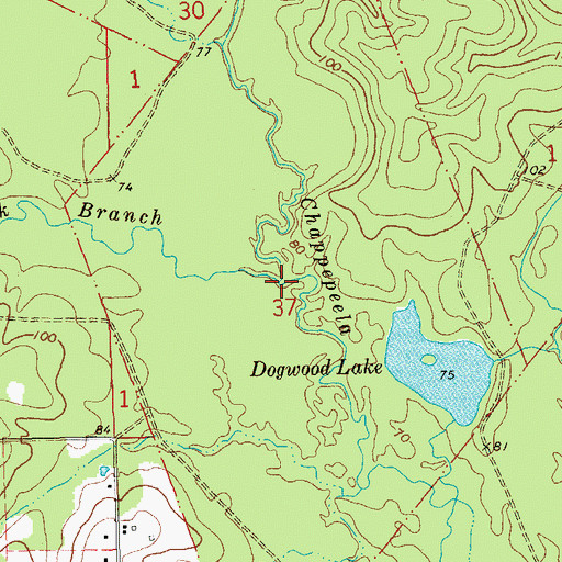 Topographic Map of Dick Branch, LA