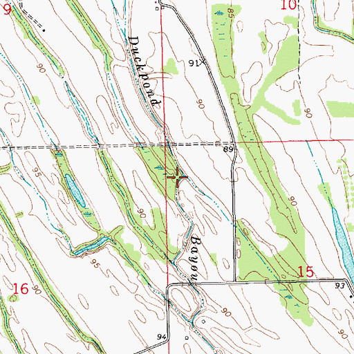 Topographic Map of Duckpond Bayou, LA