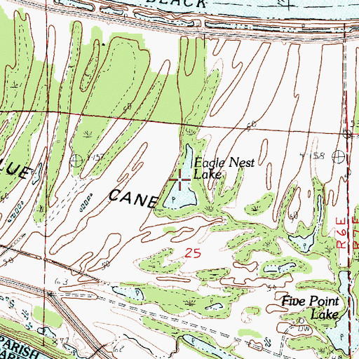 Topographic Map of Eagle Nest Lake, LA