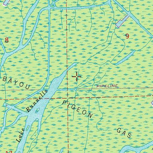 Topographic Map of East Bayou Pigeon Gas Field, LA