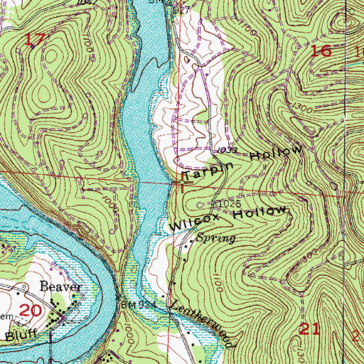 Topographic Map of Tarpin Hollow, AR