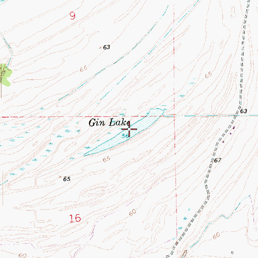 Topographic Map of Gin Lake, LA