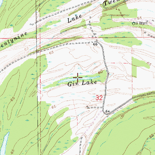 Topographic Map of Gin Lake, LA