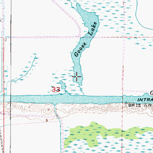 Topographic Map of Goose Lake, LA