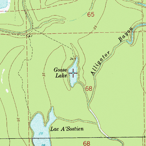 Topographic Map of Goose Lake, LA
