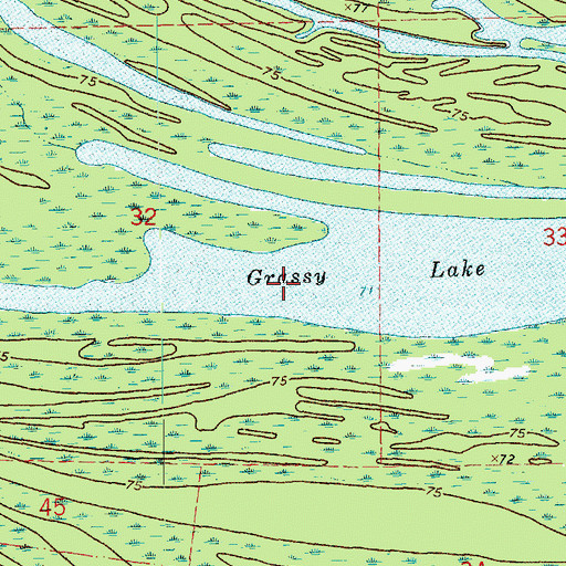 Topographic Map of Grassy Lake, LA
