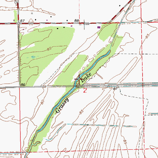 Topographic Map of Grassy Lake, LA