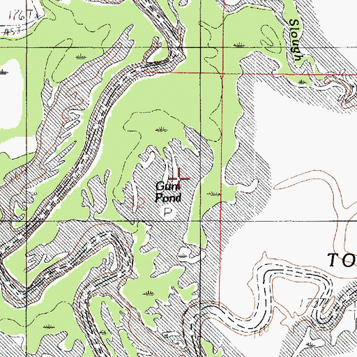 Topographic Map of Gum Pond, LA