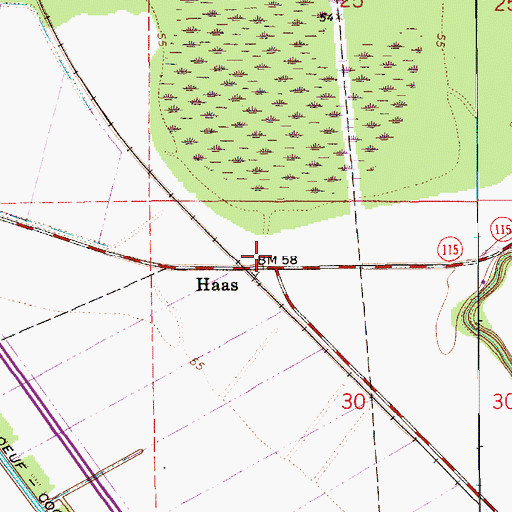 Topographic Map of Haas, LA