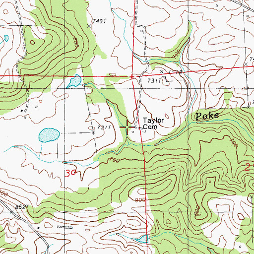 Topographic Map of Taylor Cemetery, AR