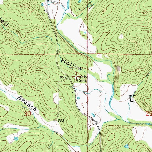Topographic Map of Taylor Cemetery, AR