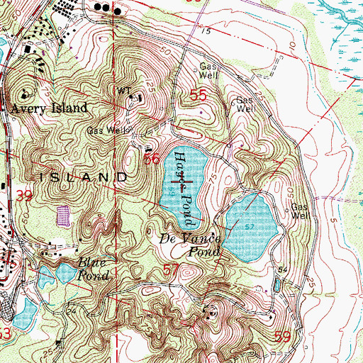 Topographic Map of Hayes Pond, LA