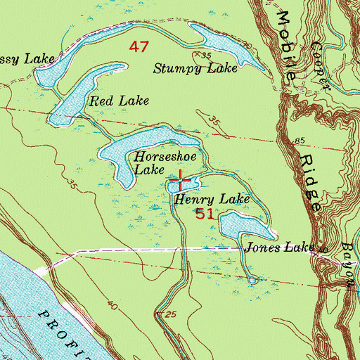 Topographic Map of Henry Lake, LA