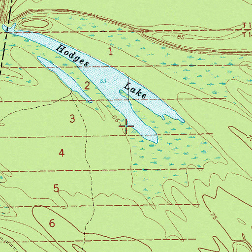 Topographic Map of Hodges Lake, MS