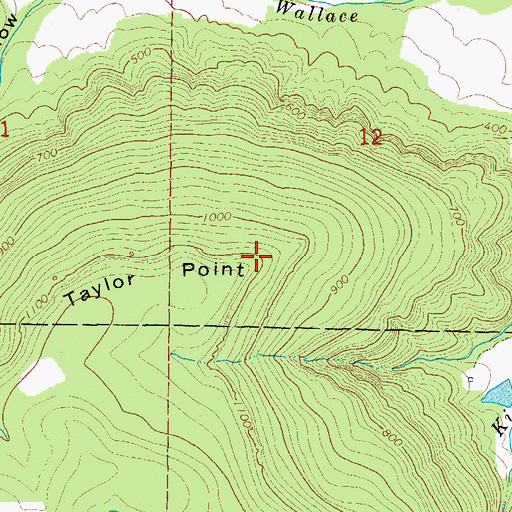 Topographic Map of Taylor Point, AR