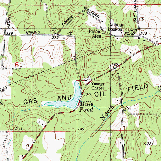 Topographic Map of Youngs Chapel, LA