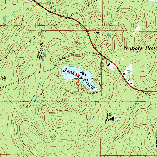Topographic Map of Jenkins Pond, LA