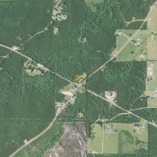 Aerial/Satellite Image of Lacamp, LA