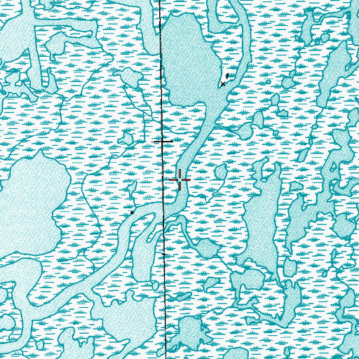 Topographic Map of Bayou De L'Ouest, LA
