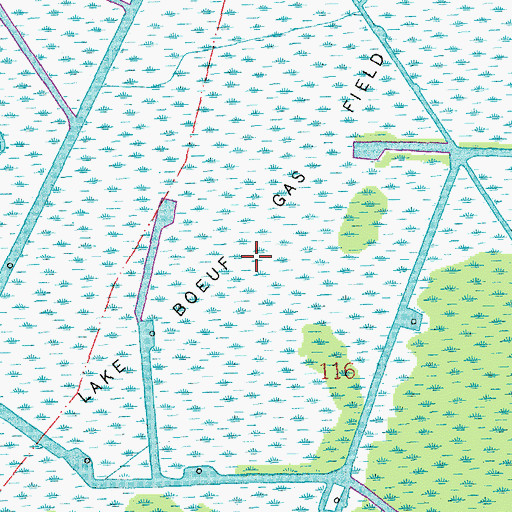 Topographic Map of Lake Boeuf Gas Field, LA