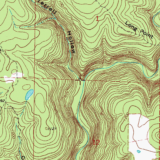 Topographic Map of Terrell Hollow, AR