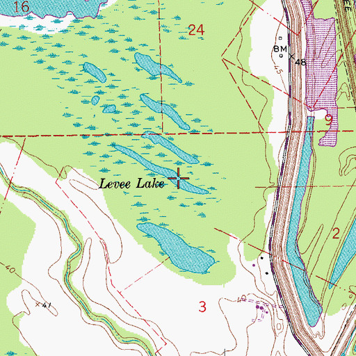 Topographic Map of Levee Lake, LA