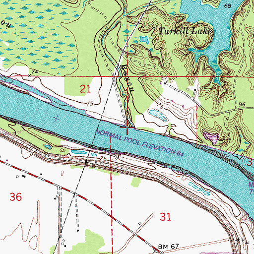 Topographic Map of Lick Bayou, LA