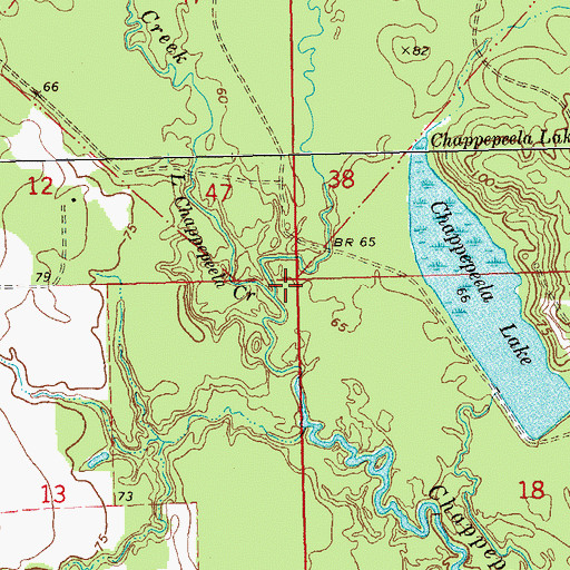 Topographic Map of Little Chappepeela Creek, LA