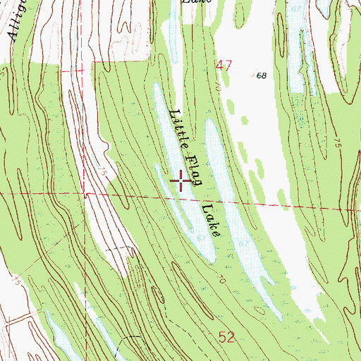 Topographic Map of Little Flag Lake, LA