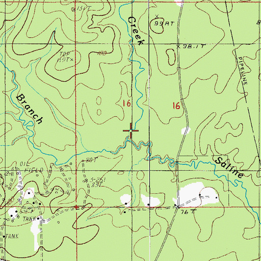Topographic Map of Little Saline Branch, LA