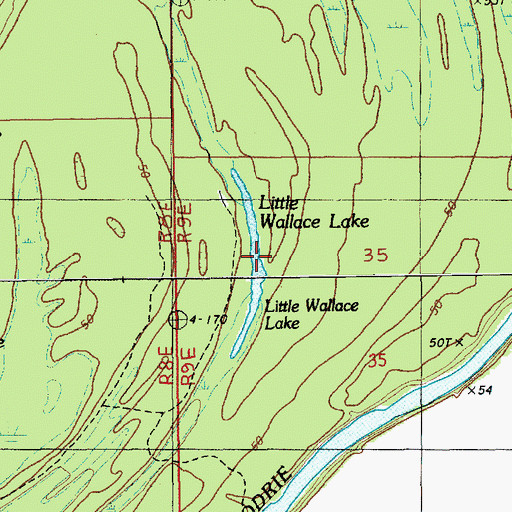 Topographic Map of Little Wallace Lake, LA