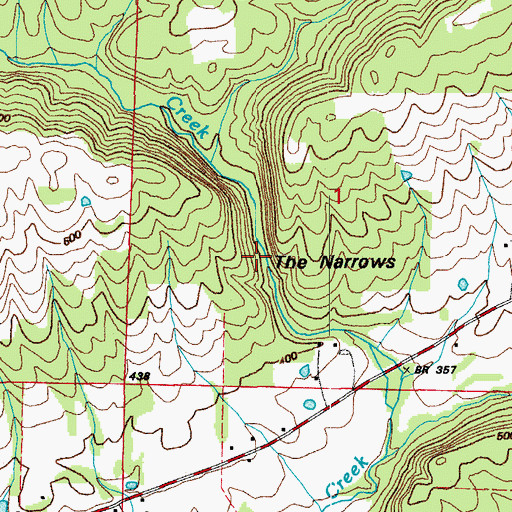 Topographic Map of The Narrows, AR