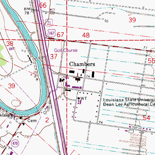 Topographic Map of Louisiana State University Alexandria, LA