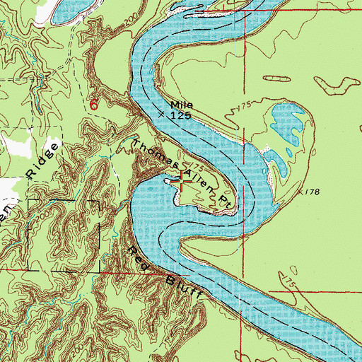 Topographic Map of Thomas Allen Point, AR