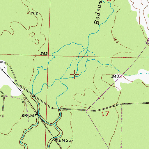 Topographic Map of Thomas Branch, AR