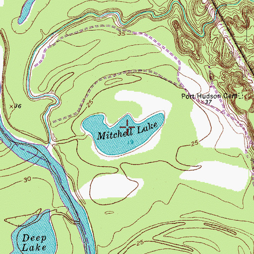 Topographic Map of Mitchell Lake, LA