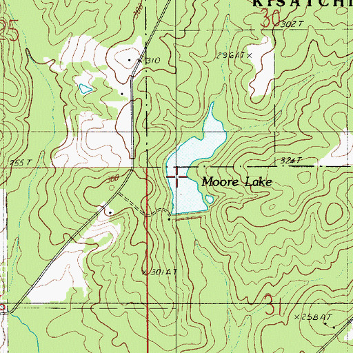 Topographic Map of Moore Lake, LA