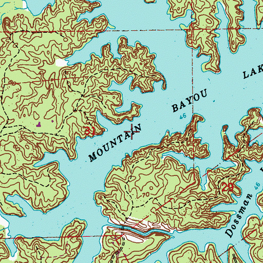 Topographic Map of Mountain Bayou Lake, LA