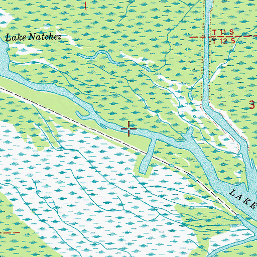 Topographic Map of Lake Natchez, LA