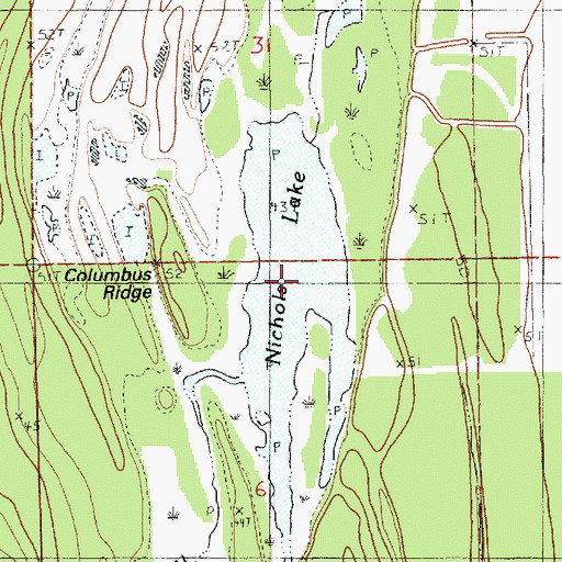Topographic Map of Nichols Lake, LA