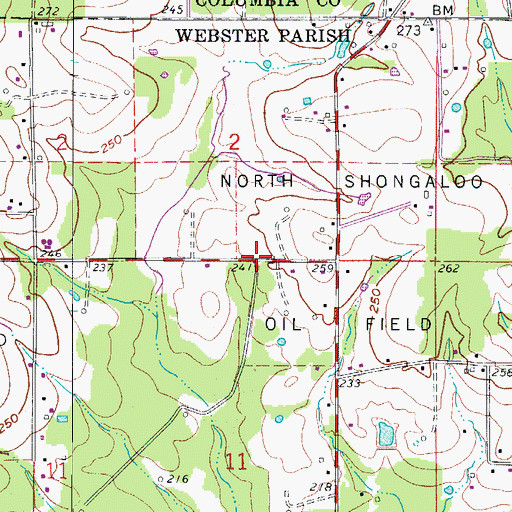 Topographic Map of North Shongaloo Oil and Gas Field, LA