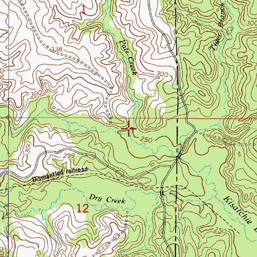 Topographic Map of Pate Creek, LA