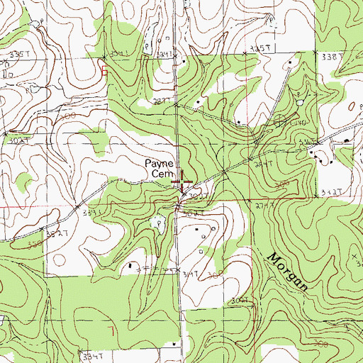 Topographic Map of Payne Cemetery, LA