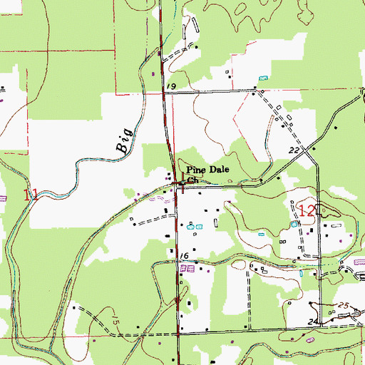 Topographic Map of Pine Dale Church, LA