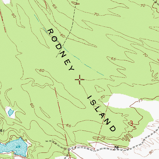 Topographic Map of Rodney Island, LA