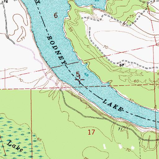 Topographic Map of Rodney Lake, LA