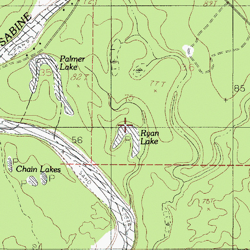 Topographic Map of Ryan Lake, LA