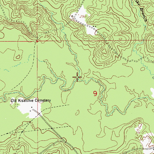 Topographic Map of Saddle Branch, LA